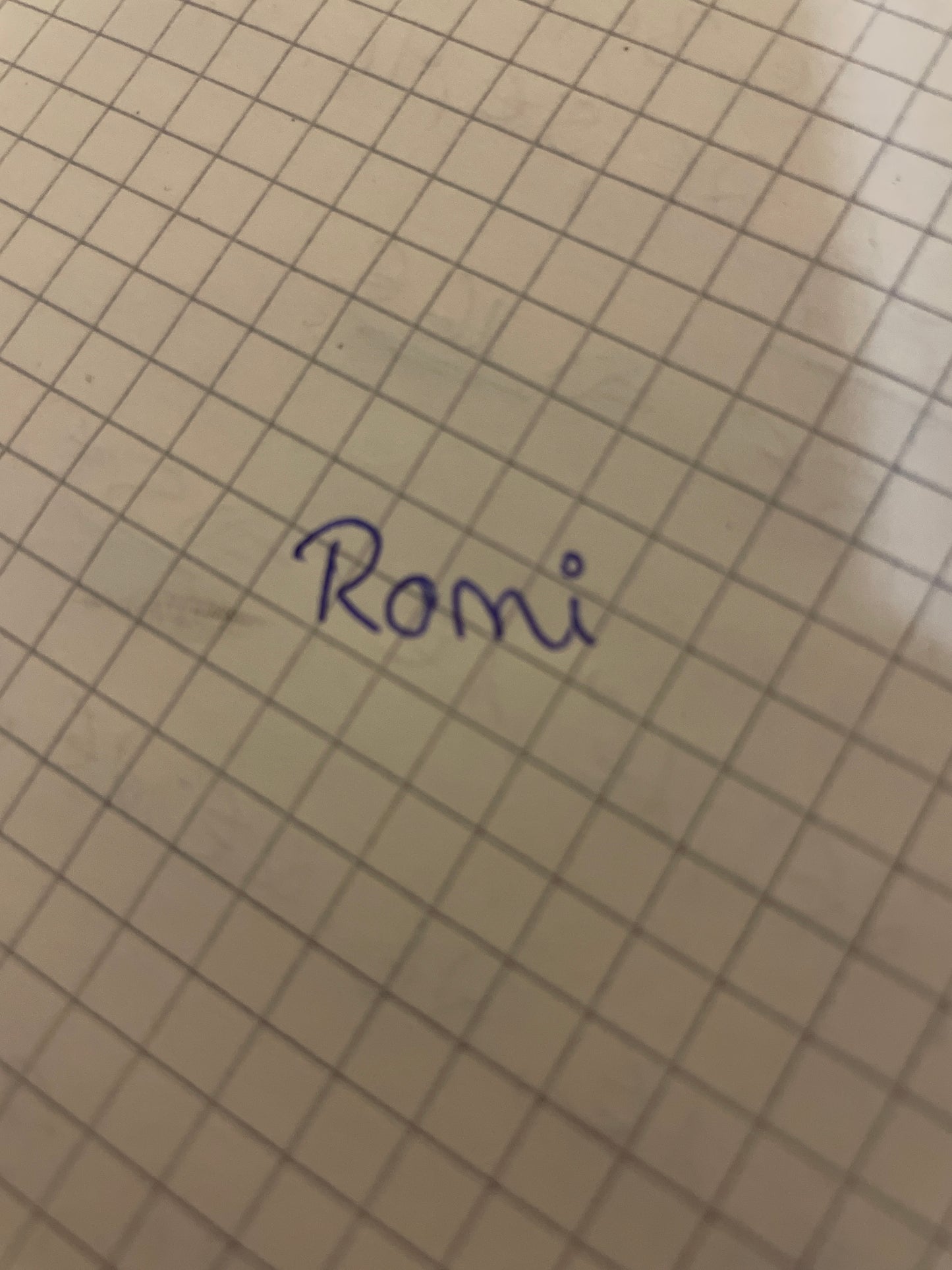 Retourenpaket Romi