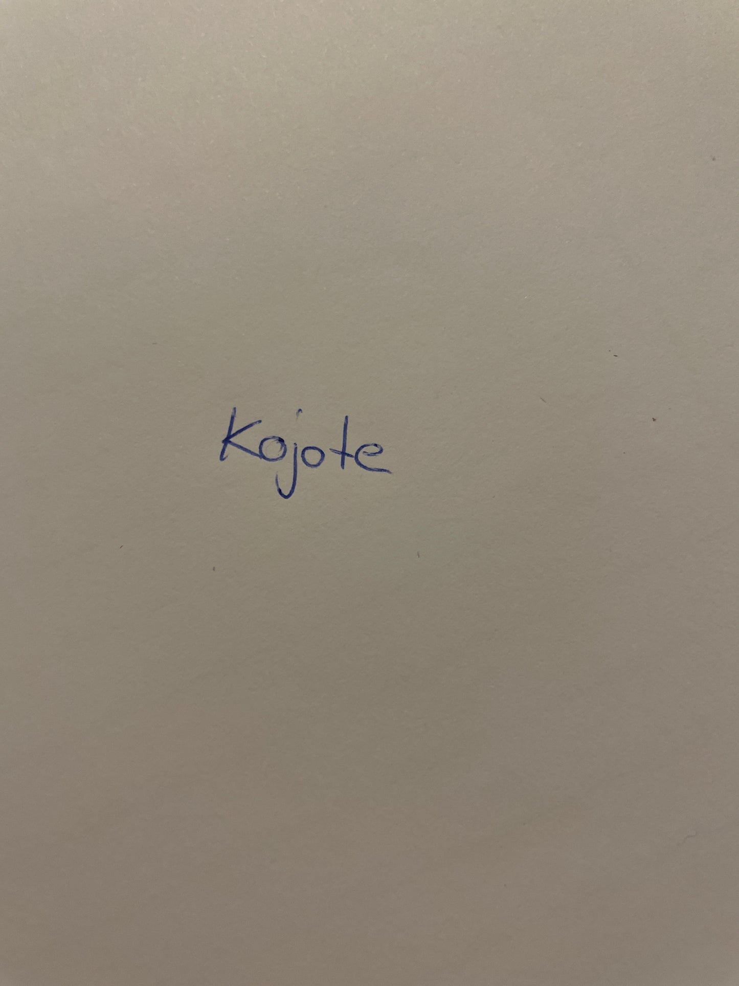 Retourenbox Kojote