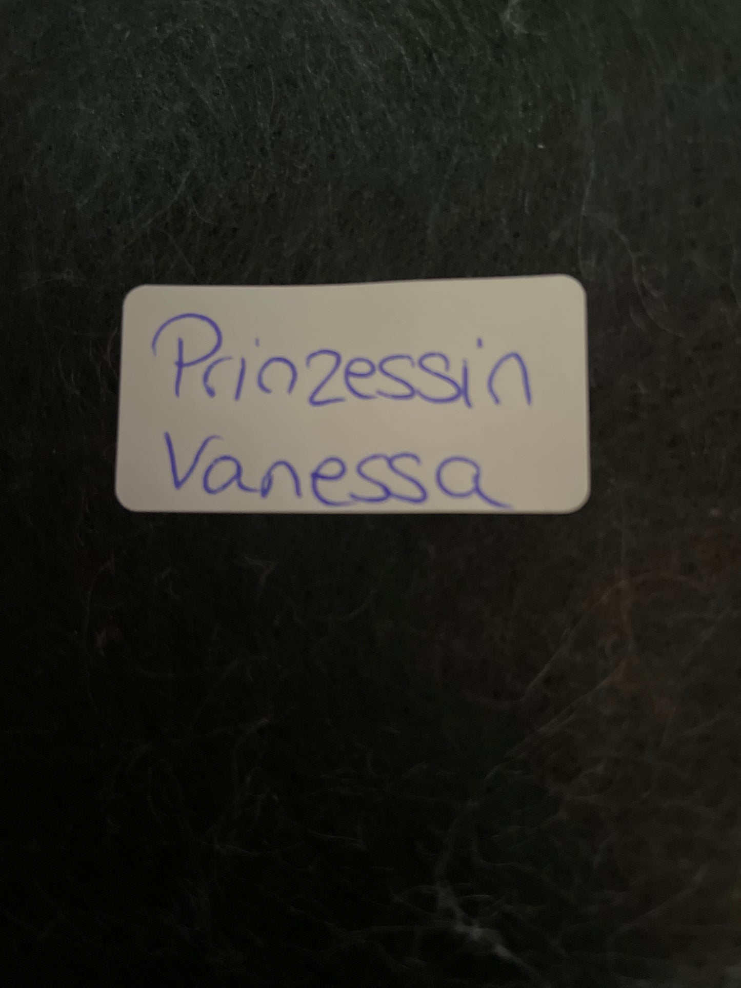 Retourenpaket Prinzessin Vanessa