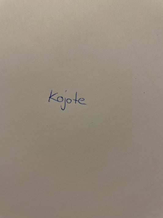 Retourenbox Kojote