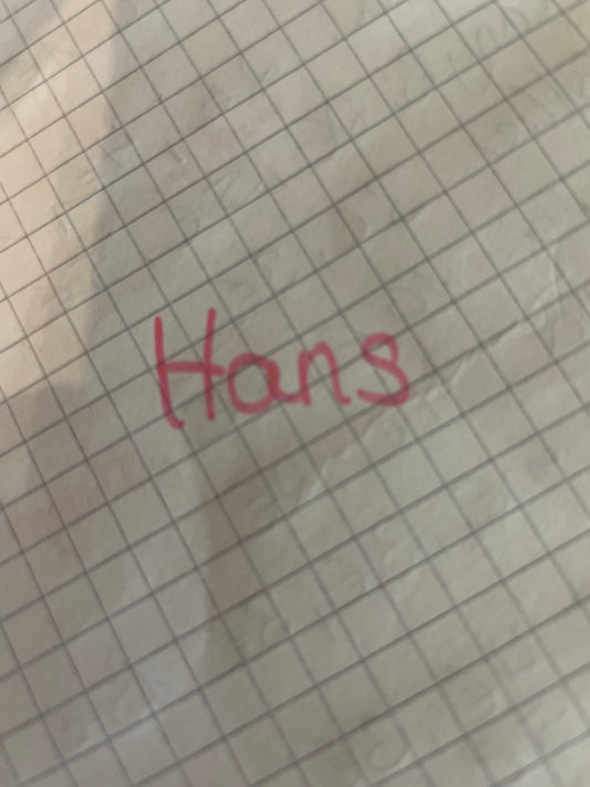 Retourenpaket Hans